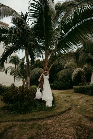 A white wedding dress hangs elegantly from a palm tree in a tropical coastal setting at dusk.