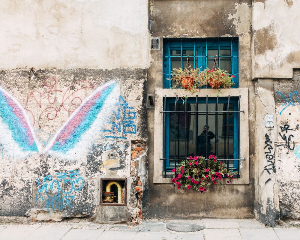 Weathered wall with colorful wing mural and blue-framed window decorated with pink flowers.