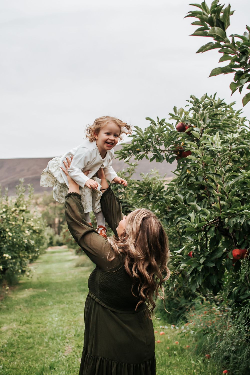 A joyful moment in an apple orchard as a child is lifted up high by mommy in Benton City, Washington.