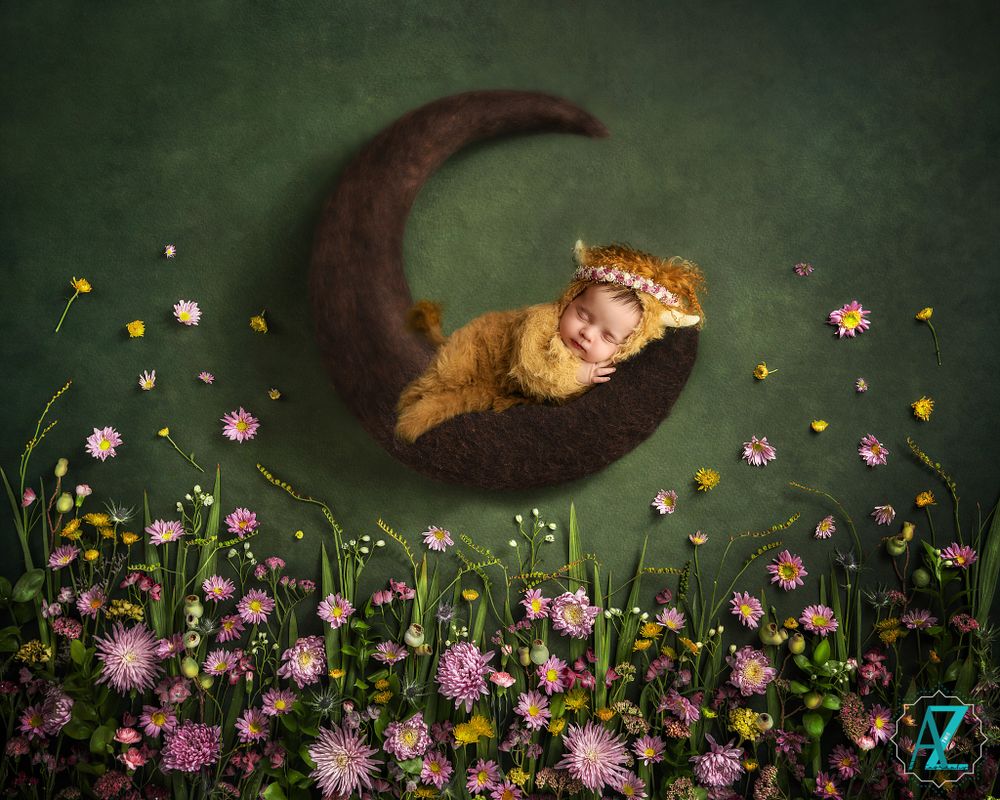 Dreamy portrait of baby on moon with wildflower garden below.
