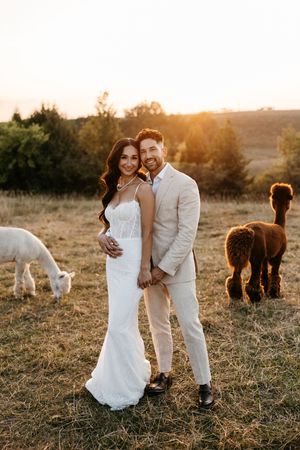 A smiling bride and groom pose at golden hour on a farm with alpacas grazing in the background.