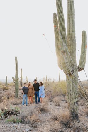 A group stands among tall saguaro cacti in a desert landscape during golden hour.
