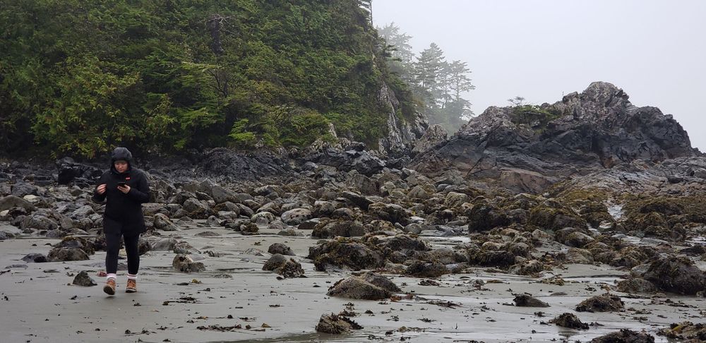 a foggy day on a rocky beach.