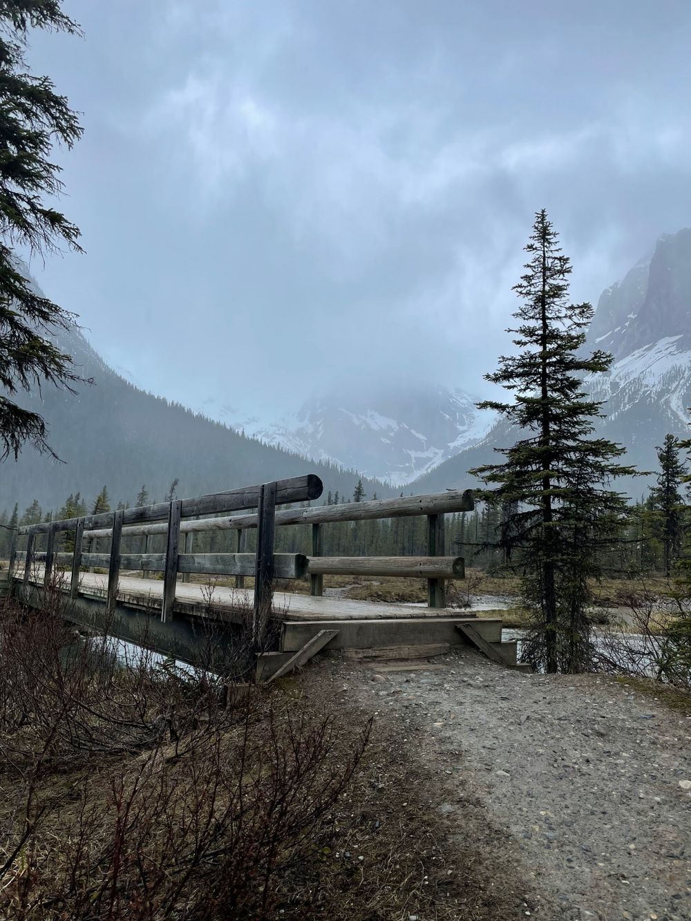 a bridge on a mountain trail.