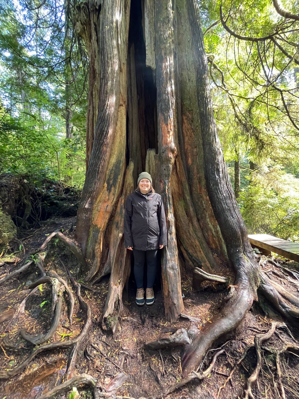 a women standing in large tree.