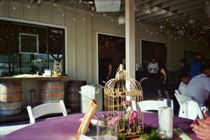 lavender ridge, documentary photography, in the moment , reno wedding photographer, Tahoe, reception, whimsical, microwedding, elopement
