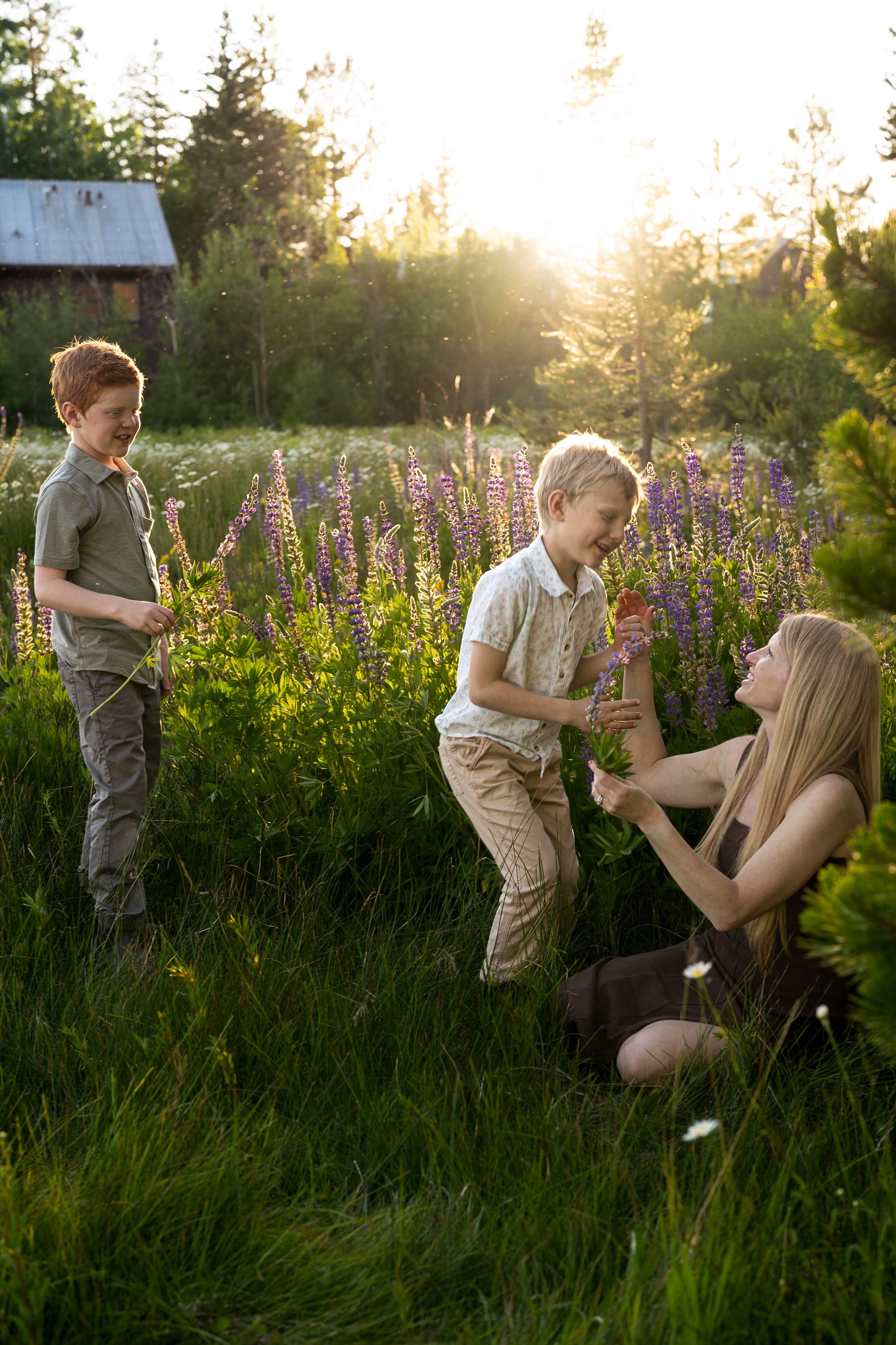 A tender moment between two people in a field of purple lupine flowers at sunset.