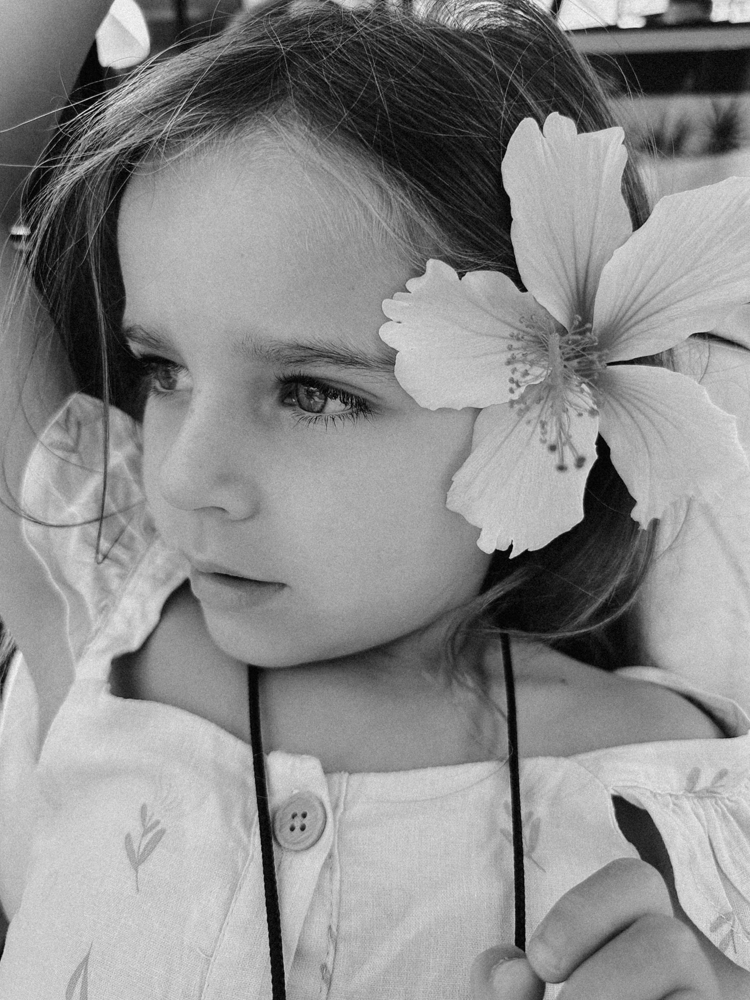 Pricing Gentle Light Photography