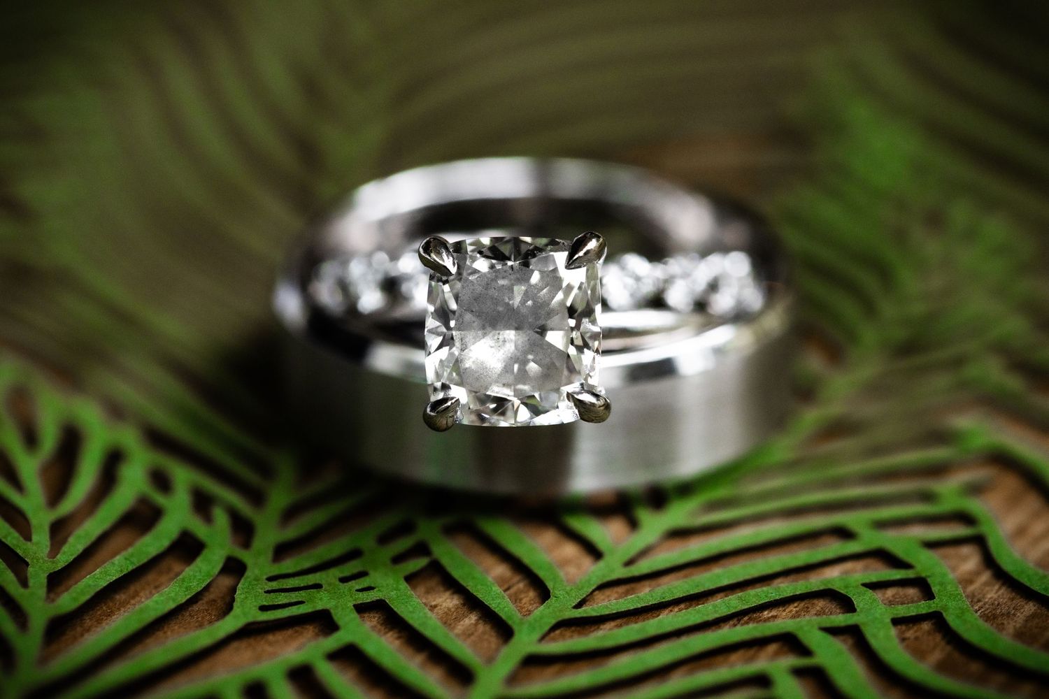 Wedding rings photographed with dramatic lighting on green fern leaves creating an artistic composition.