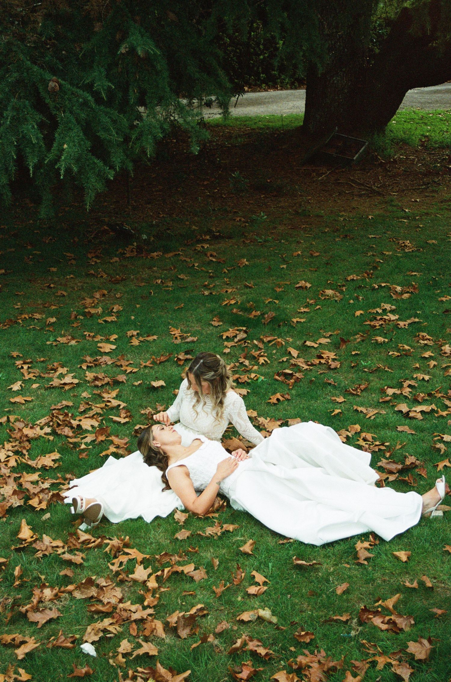 Two brides in white dresses sit on green grass covered in autumn leaves beneath a large tree.
