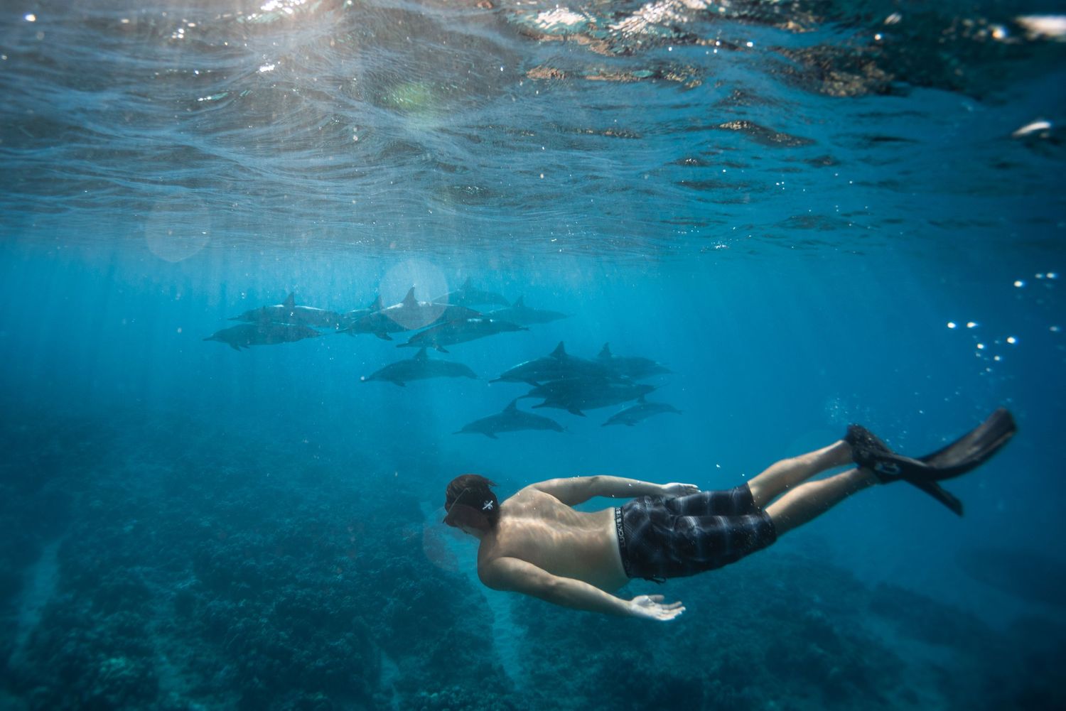 oahu underwater photographer, honolulu underwater photographer, honolulu ocean photographer, underwater photoshoot
