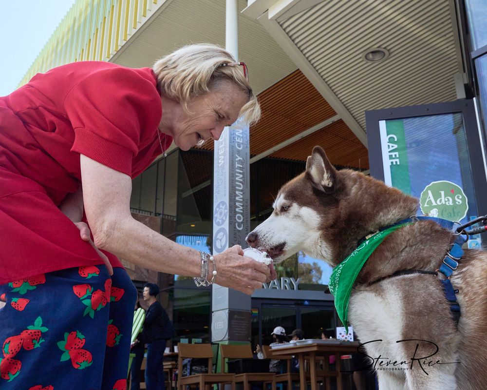 Odin enjoys a puppuccino from Kathleen at Ada's Cafe.
