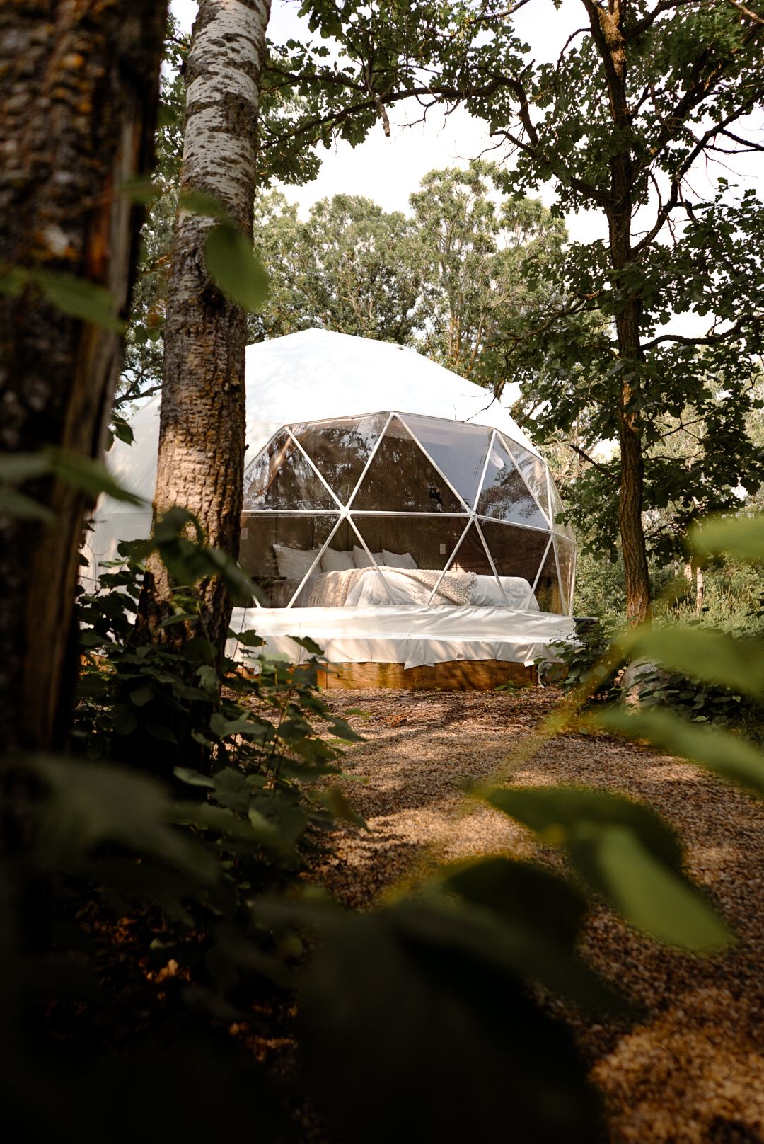 Geodesic dome tent structures nestled among trees in a natural woodland setting at sunset.