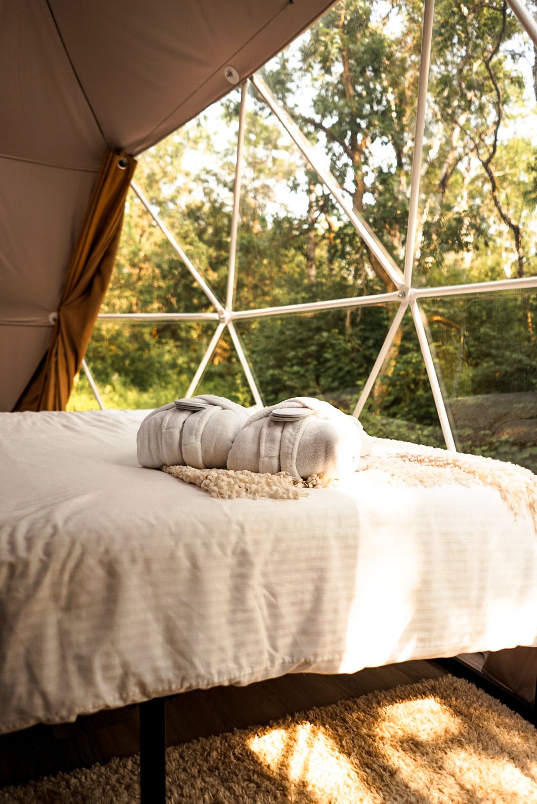Sunlit interior of a dome tent showing comfortable bedding and natural lighting through transparent panels.