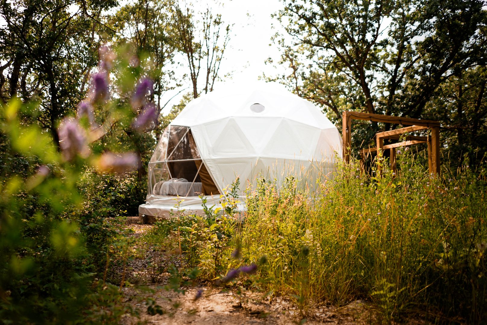 White geodesic domes visible through wildflowers and natural vegetation in an outdoor setting.