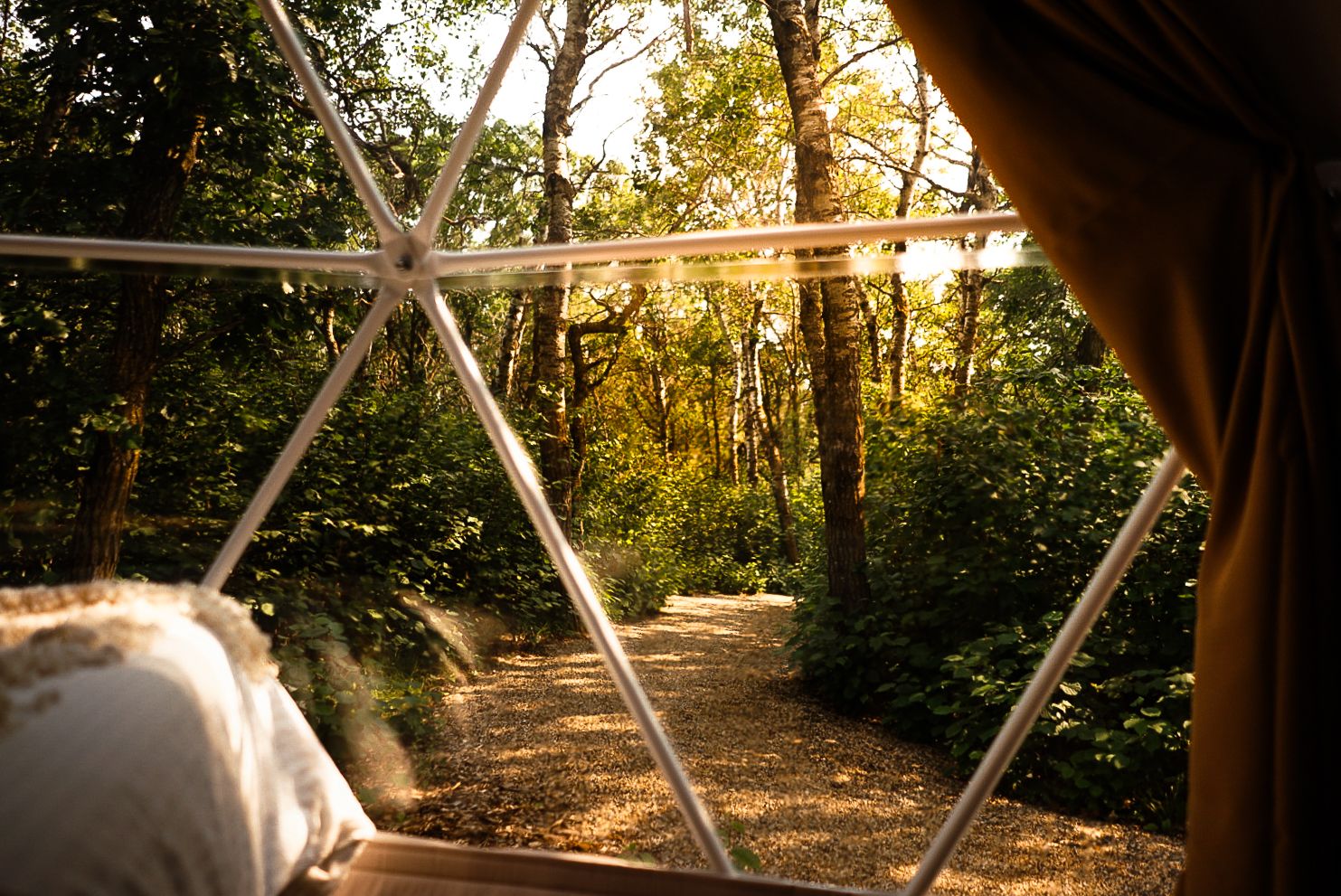 Panoramic view of dome tents scattered through a wooded area during golden hour.