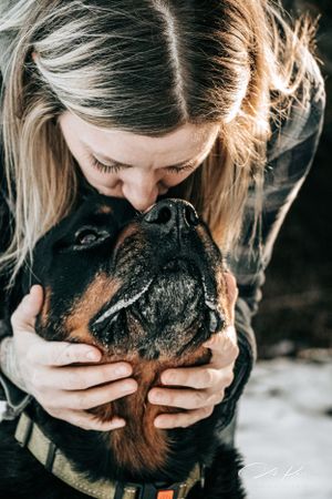 Dog Portrait Photography