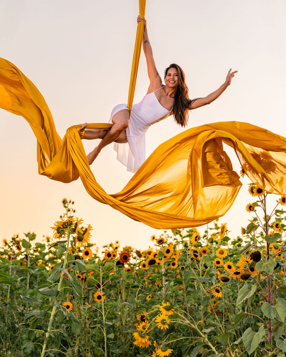 Aerialist among sunflowers; professional aerial arts photography, aerial portraits, and aerialist photoshoot captured by expert photographer
