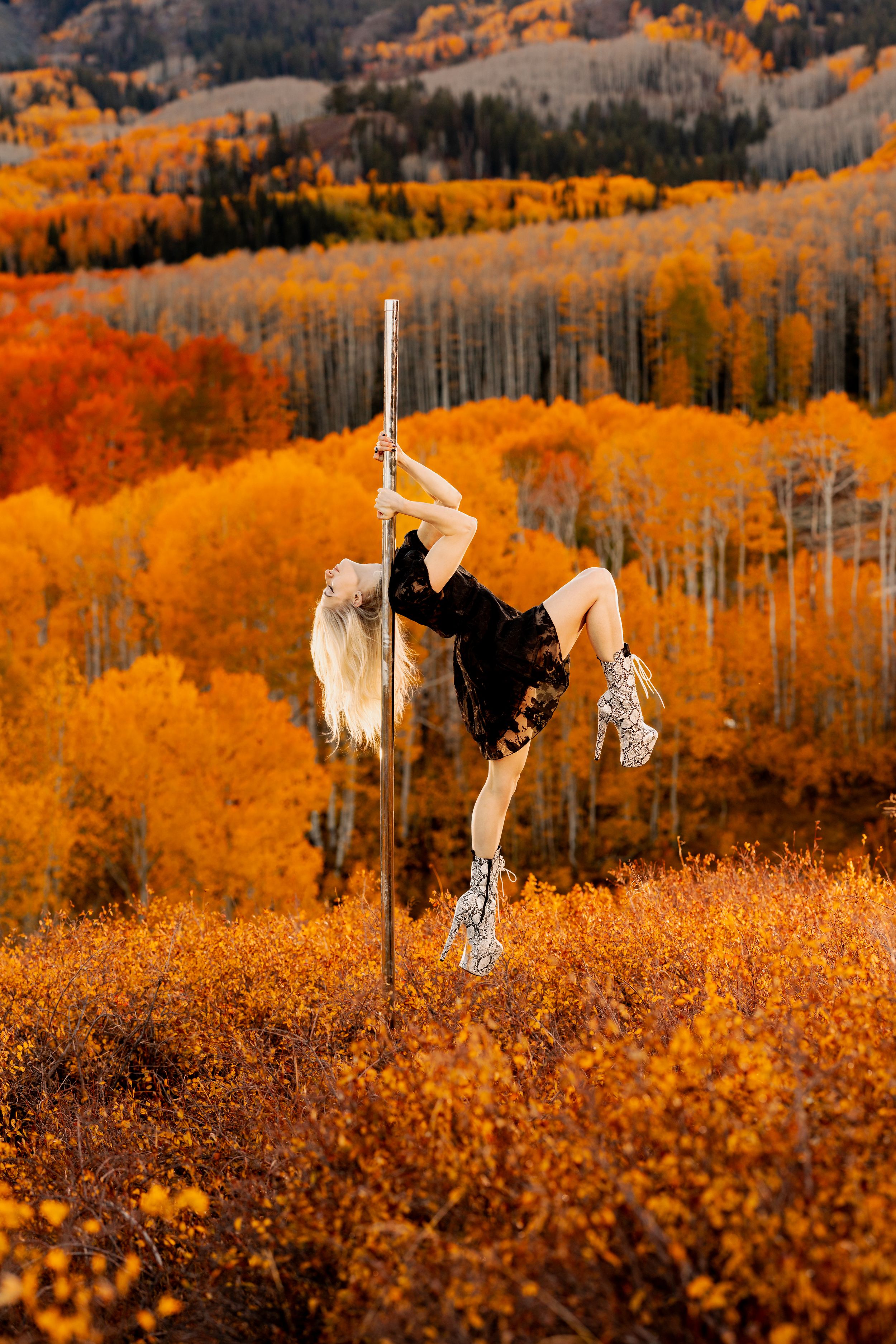 Pole dancer in Utah among aspen trees with peak fall colors; aerial arts and pole photography, aerial portraits, professional photoshoot.