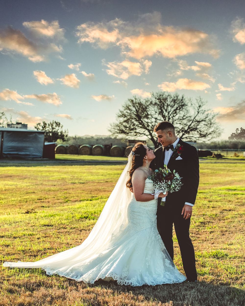 A couple shares an intimate moment in a golden field at sunset with the bride's white dress flowing in the breeze.