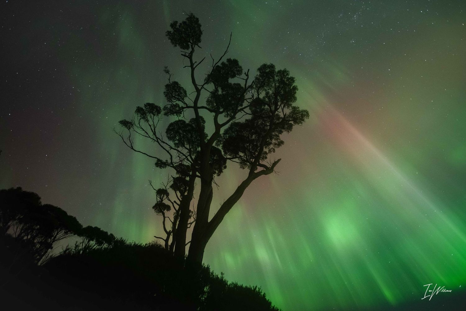 Aurora Australis, Tasmania, 11 May 2024