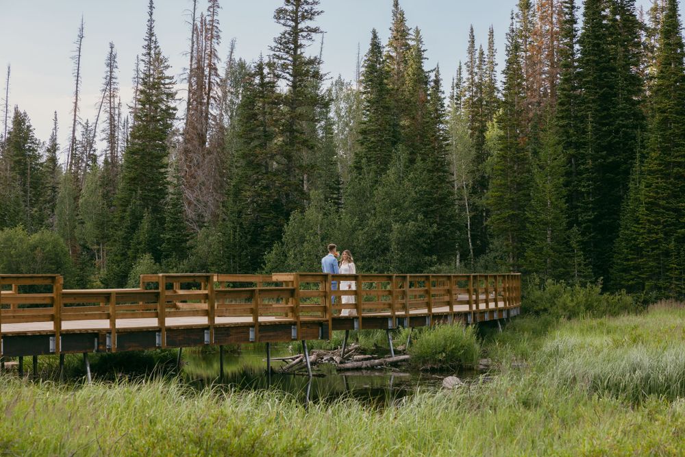 A wooden boardwalk pathway stretches through a pine forest in the mountains.