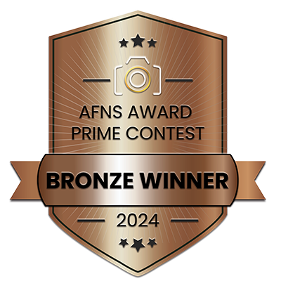 Badge du gagnant du concours AFNS Prime 2024 en bronze avec un design radial.