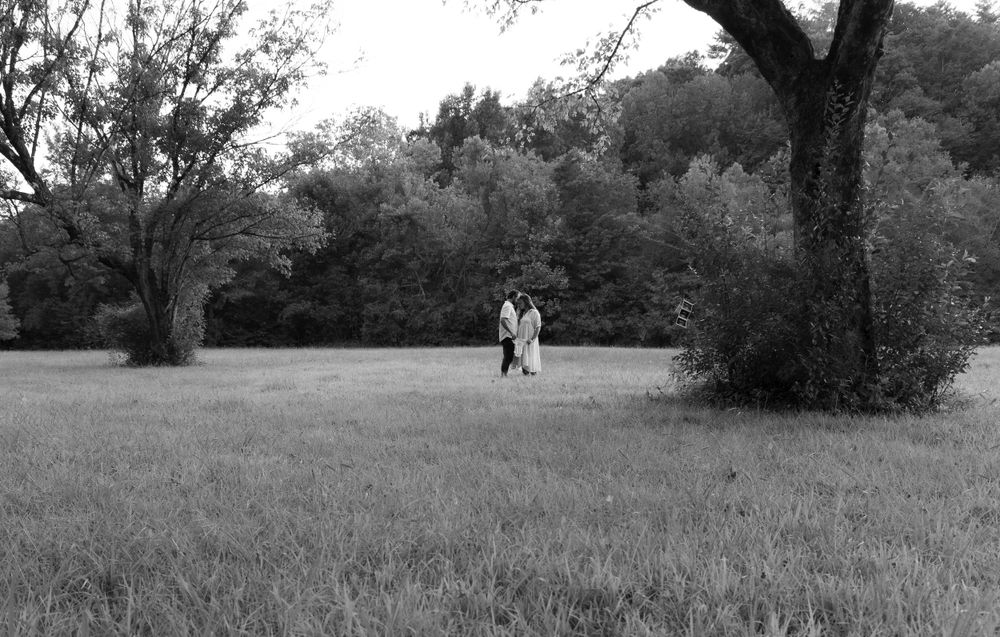 Scenic landscape background showing trees and grass in black and white.