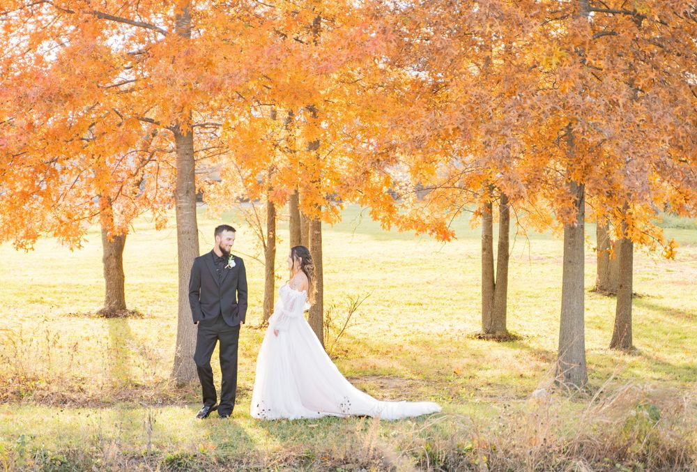 Bride and groom stand apart among autumn orange trees in a sunlit field during fall wedding portrait.