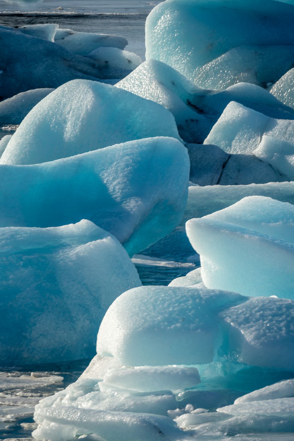 Icy blue chunks of glacier float along the river towards the ocean in southern Iceland.