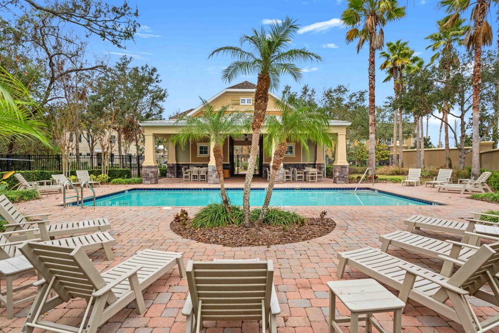 Resort-style pool area with palm trees, lounge chairs, and tropical landscaping.