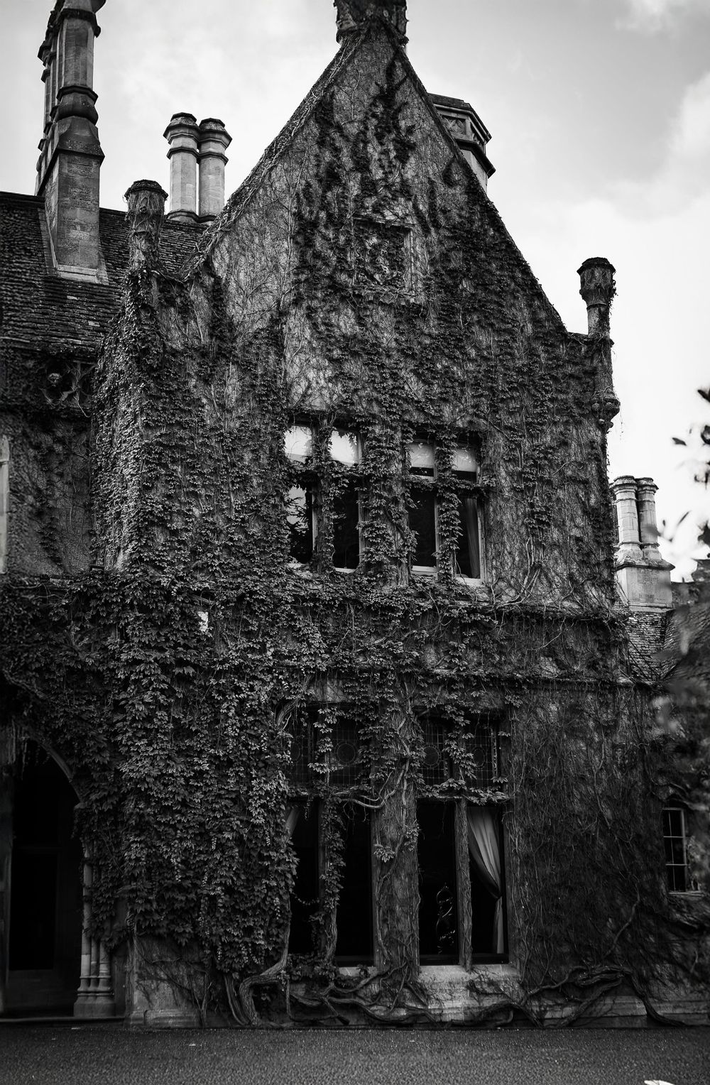 Gothic stone mansion covered in climbing vines with ornate windows and chimneys in black and white photography.