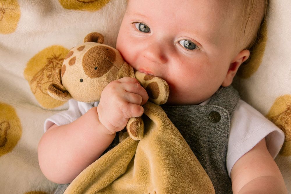 Young infant holding tan plush toy while wearing gray outfit.