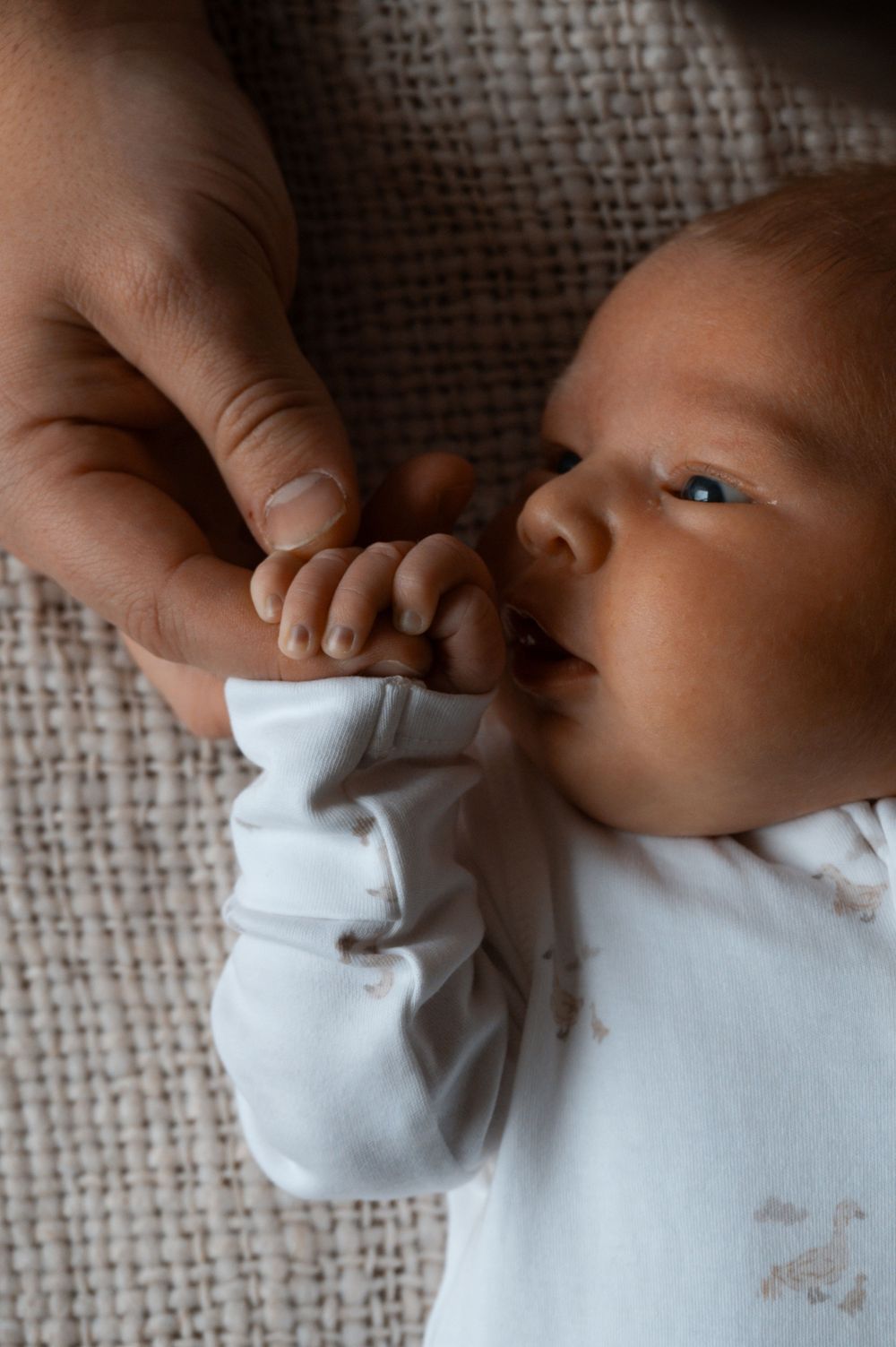 A baby in white clothing grasps an adult's finger while lying on textured fabric.