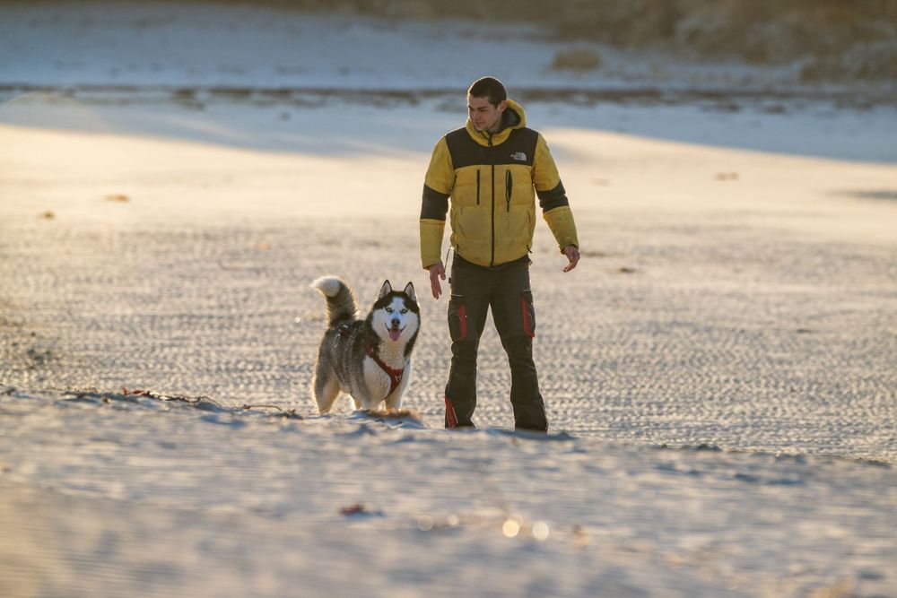 A person in yellow jacket walking with their dog on a sandy beach.