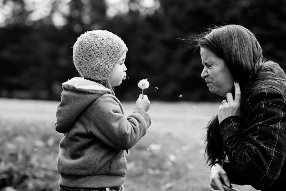 Black and white portrait of dandelion moment in outdoor setting.