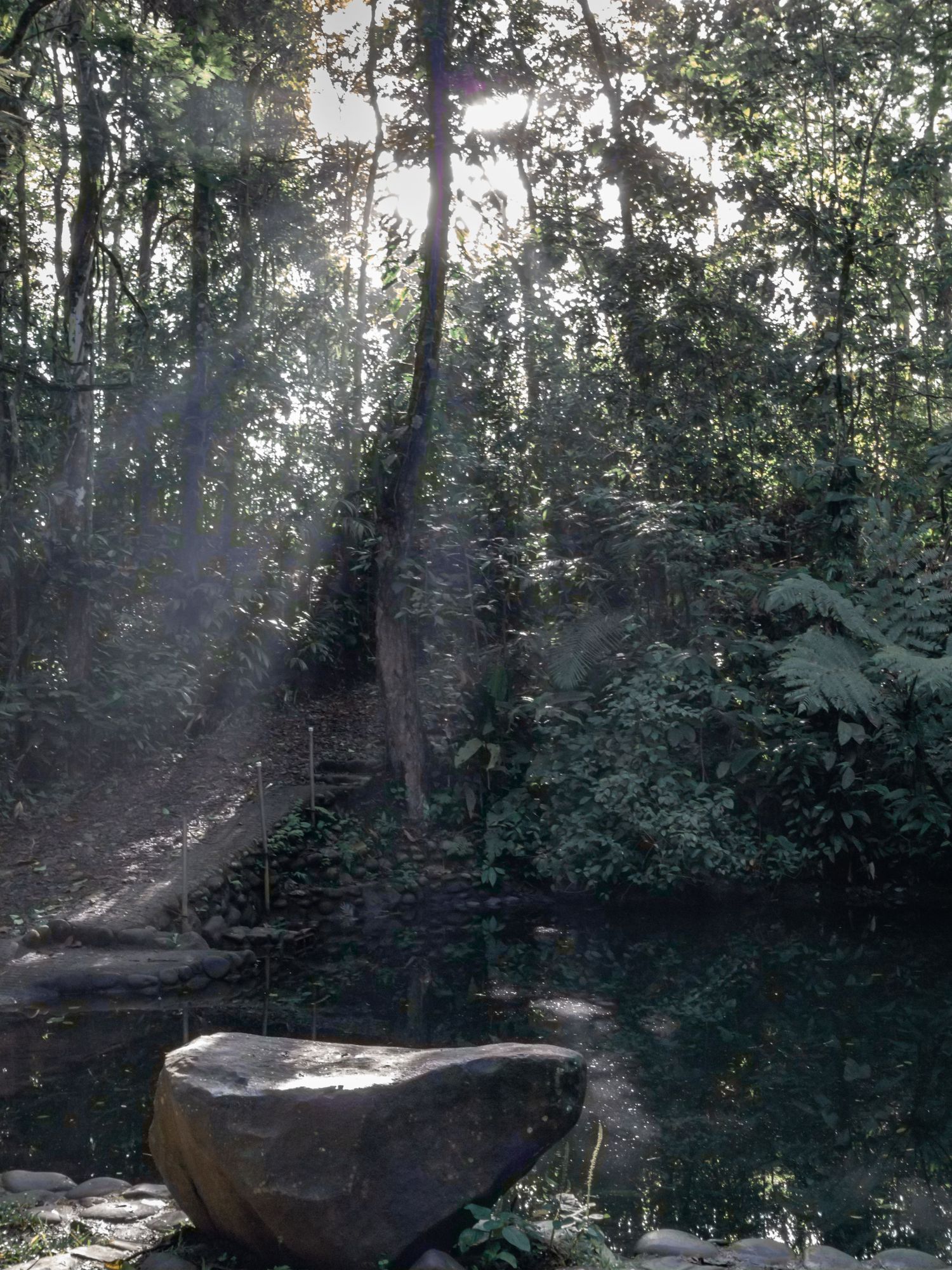 Sunbeams filter through a misty forest with a large rock in the foreground.