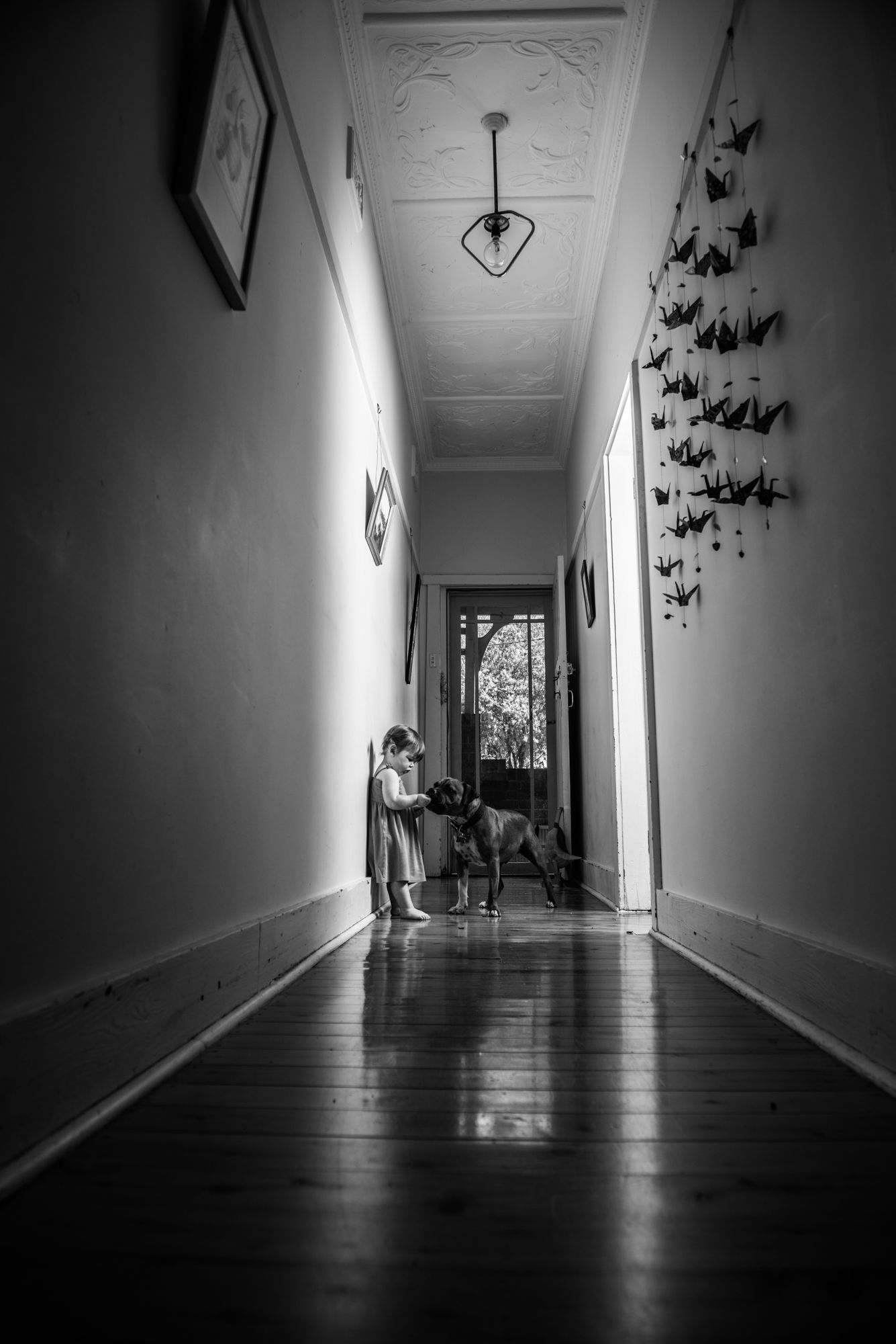 Dramatic black and white hallway interior with decorative butterflies on the wall.