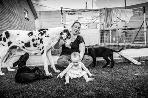 A sequence of black and white photos showing playful dogs running and interacting in a grassy yard.
