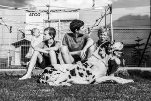 Black and white photo series of dogs playing and running together outdoors.