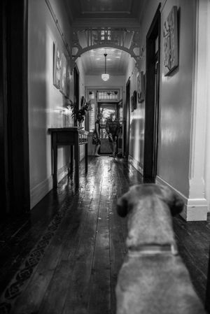 Black and white series showing a dark hallway from a dog's perspective.