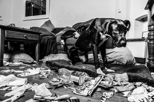 Black and white panoramic view of scattered items across a floor.