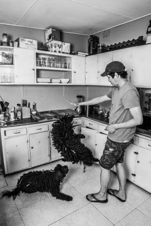 Black and white sequence showing movement in a vintage kitchen interior.