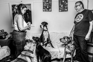 Black and white photo series showing interactions between a dog and people in a home setting.