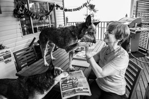 Series of black and white photos showing outdoor interactions with a dog on a porch.