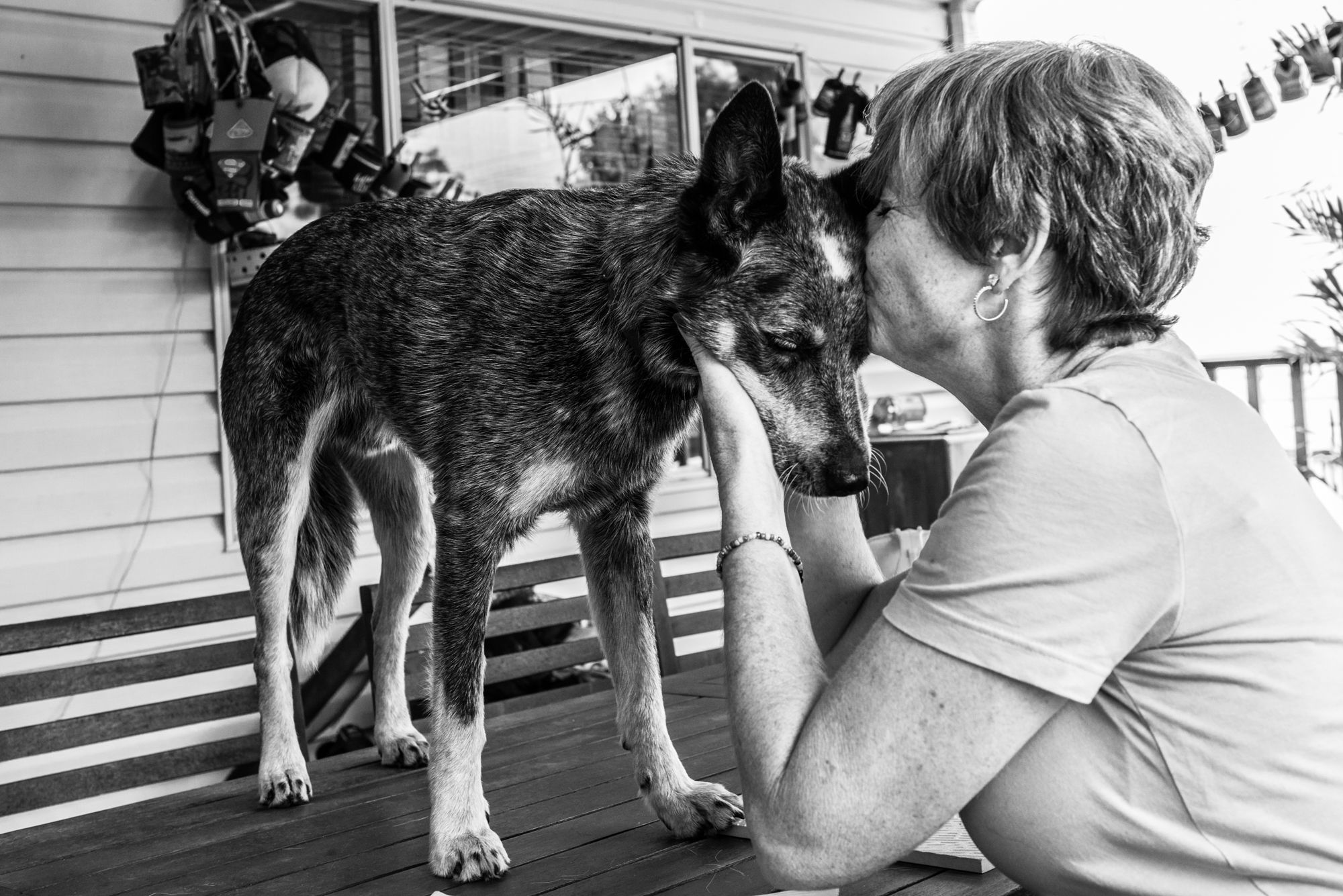Black and white sequence capturing casual moments between a dog and people on a porch.