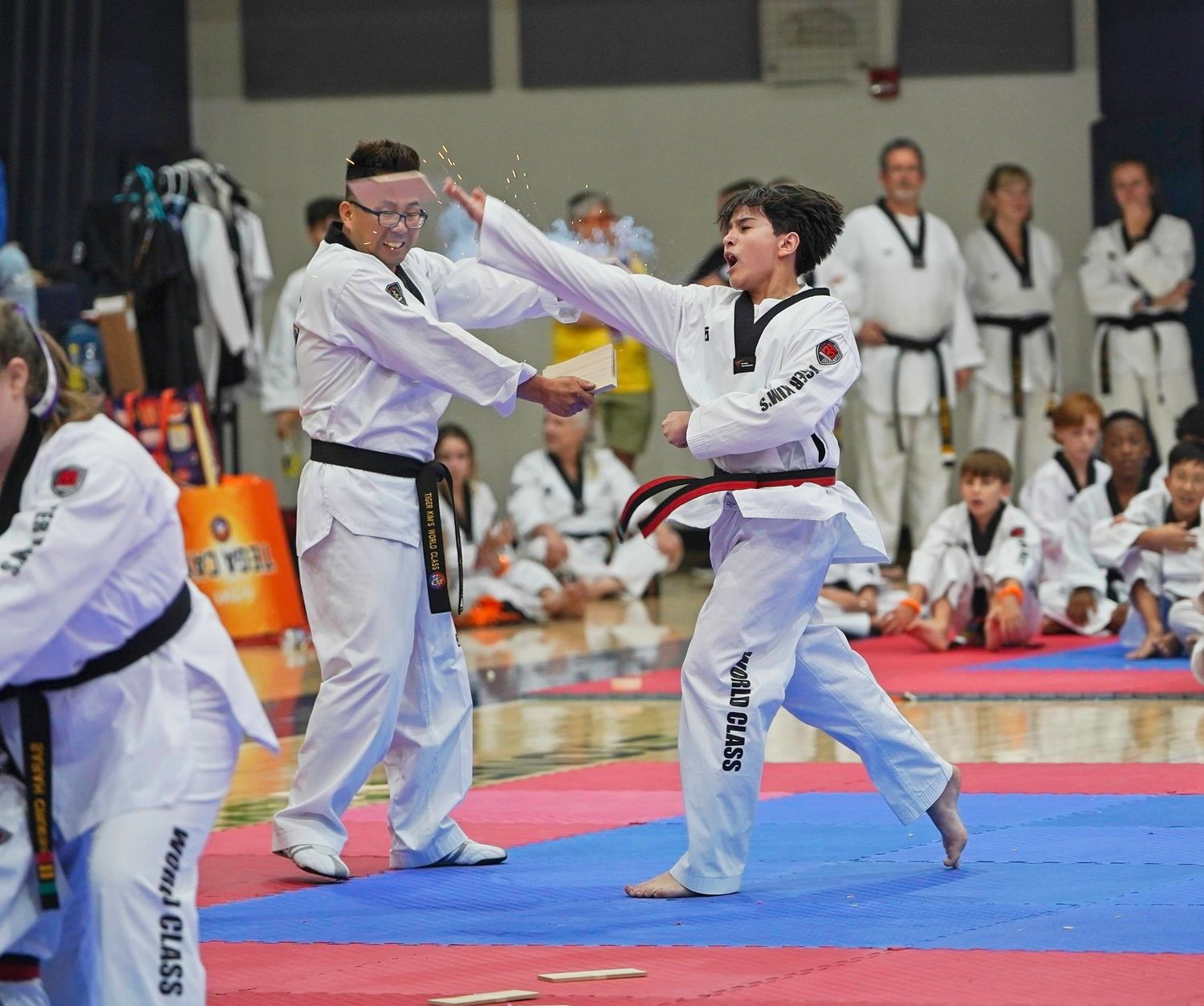 Martial arts competitors performing high kicks on red competition mats.