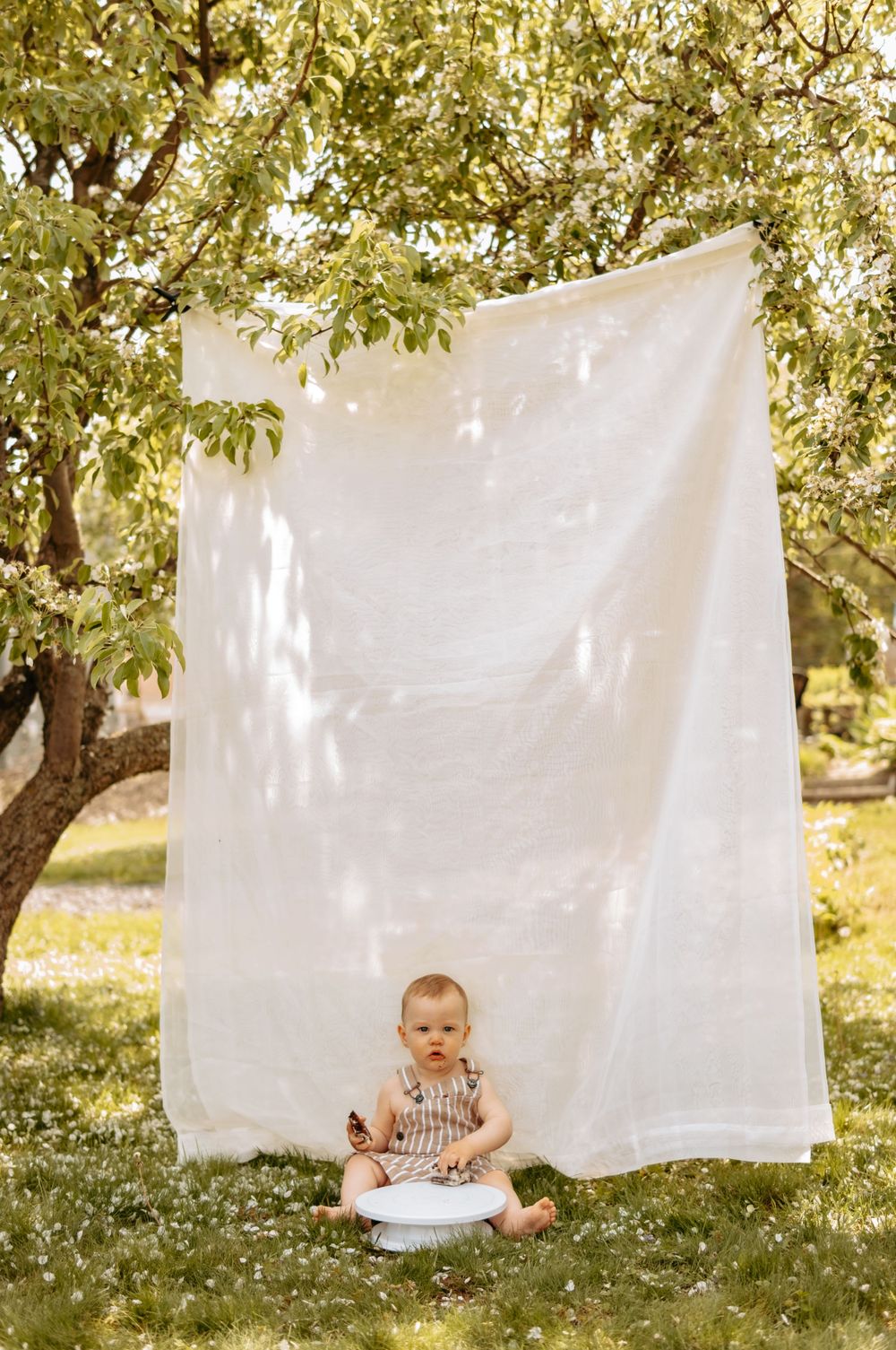 Baby sits in front of white backdrop hanging from tree branches in sunlit garden setting.