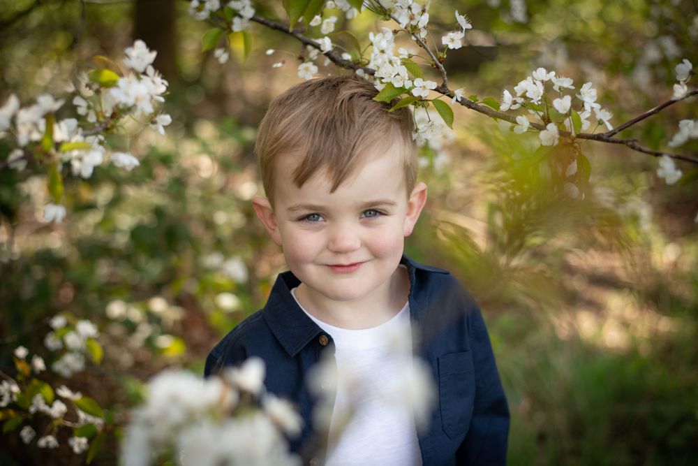 Sweet springtime portrait amid blooming white cherry blossoms.
