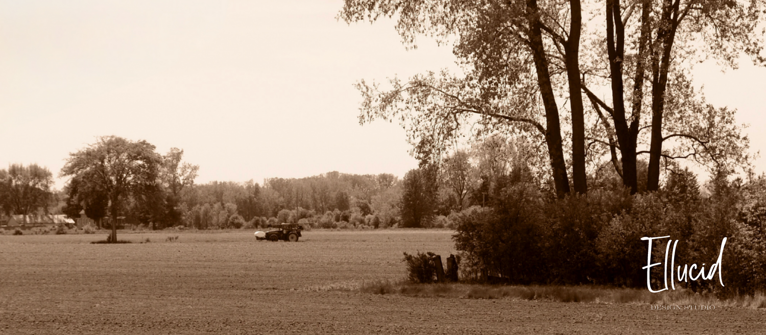 Sepia-toned rural landscape with bare trees and open fields stretching towards the horizon on a misty day.
